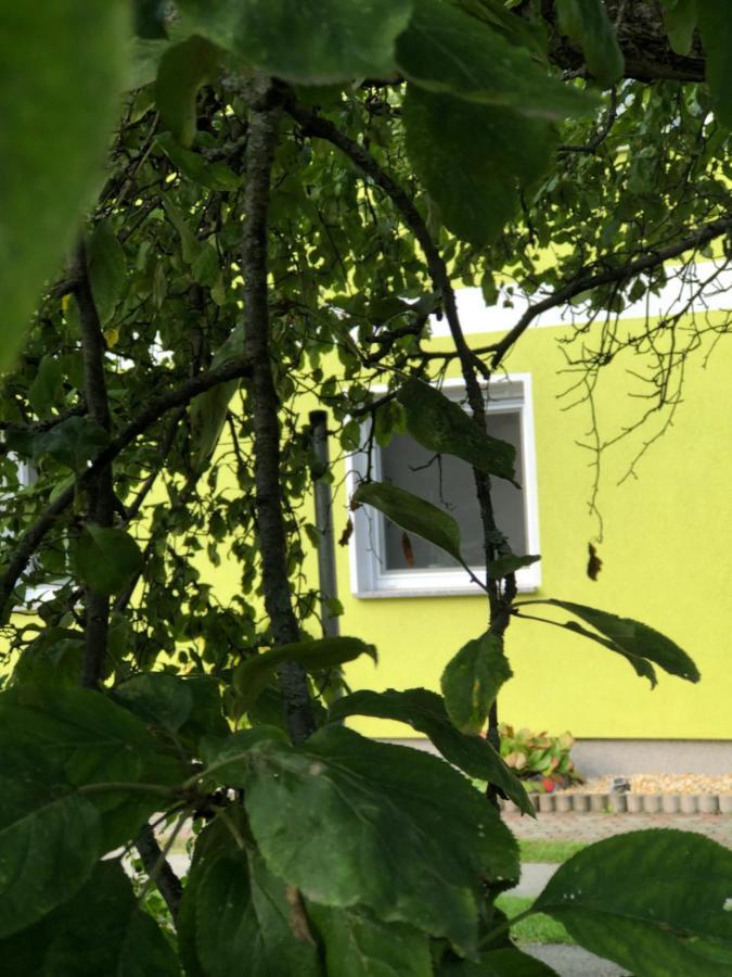 Dirks Schmuckstuck Villa Weisswasser Exterior photo