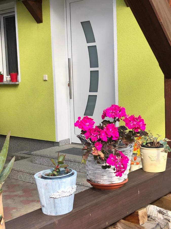 Dirks Schmuckstuck Villa Weisswasser Exterior photo